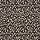 Nourison Carpets: Savoy Leopard Onyx